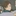 후타쿠치 켄지