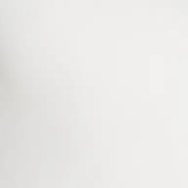 Profile image of 타잔