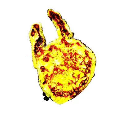 Profile image of 조수년