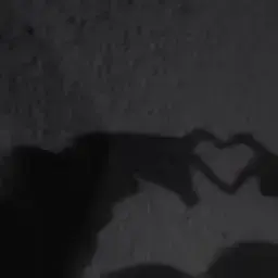 Profile image of 大 森  元 貴