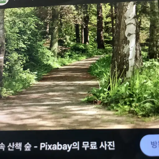 InlandMelon3831의 여우저택