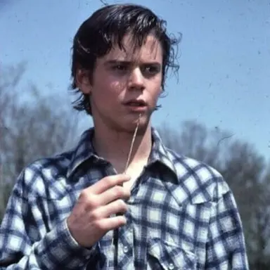 Profile image of Ponyboy Curtis