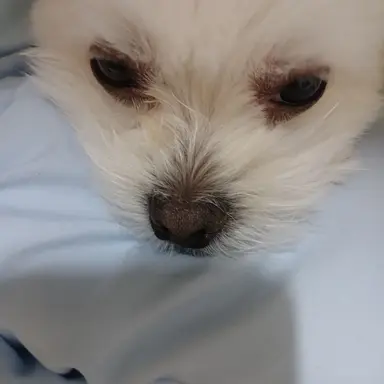 Profile image of 게스트 666