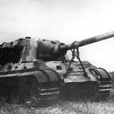 Profile image of 야크트티거