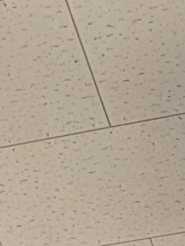 Kurosann의 暖かい微風の元で。