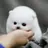 호두