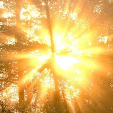 Profile image of 박 덕개