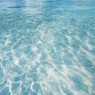 Profile image of かちょー