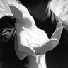 Profile image of 夜桜 要