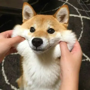 Profile image of 누룽지