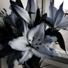 Profile image of 파이브