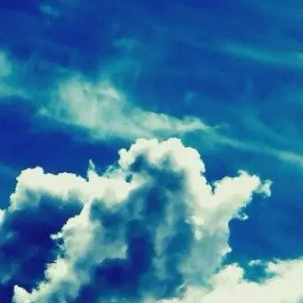 SOJUHEE의 차성우