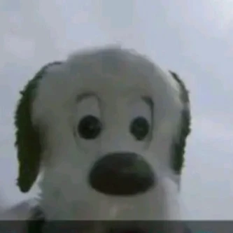 主