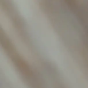 Profile image of 개인