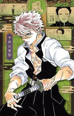 Profile image of Sanemi Shinazugawa