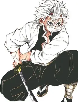 Profile image of Sanemi Shinazugawa
