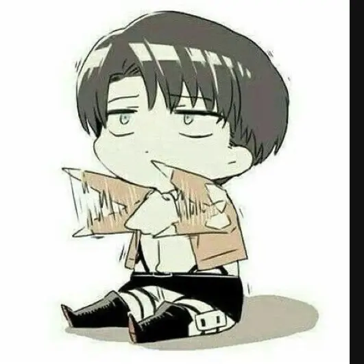 CrispyLoss6753의 리바이 아커만