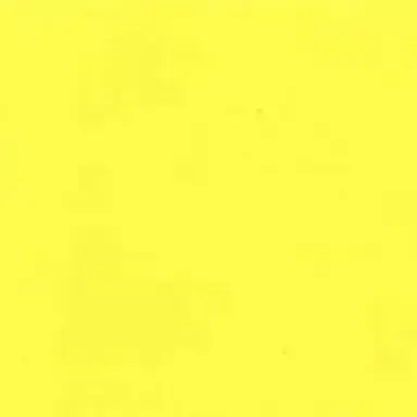 Profile image of 岩本照