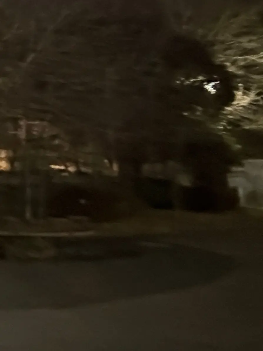 taesan_04의 동생들 싸움 말리는 건 항상 내 담당