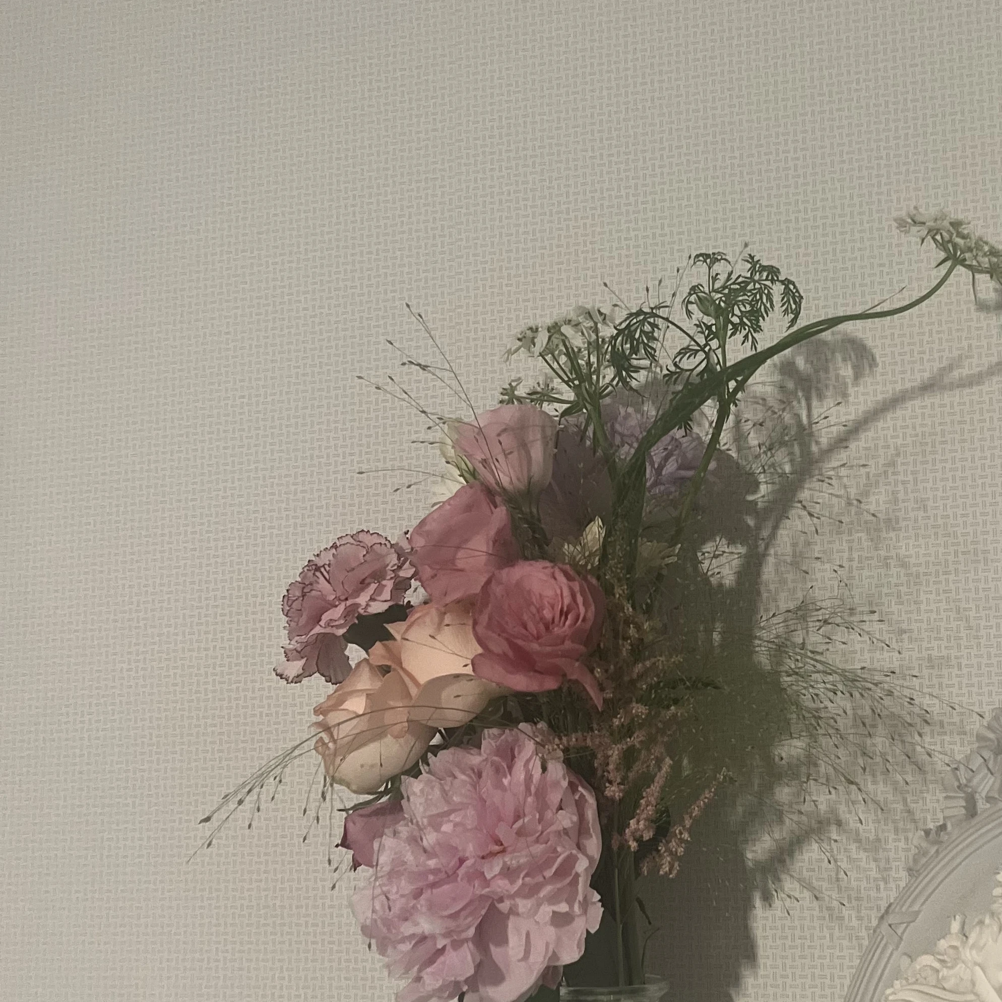 박셩호