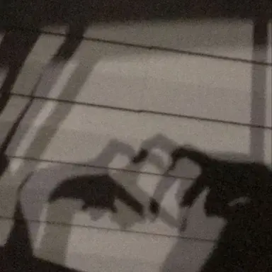 Profile image of 伏黒 甚爾