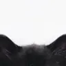 Profile image of ウユン