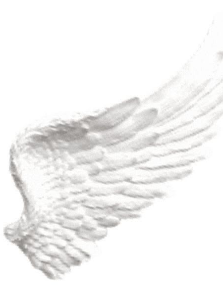 死の偽装 대표 이미지