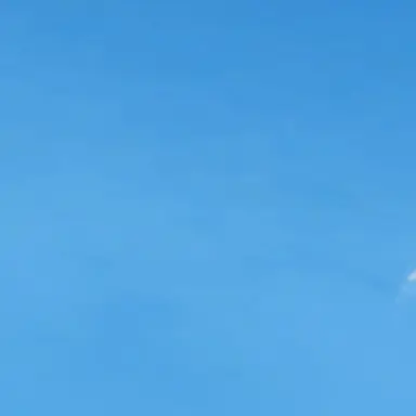 Profile image of 颯斗