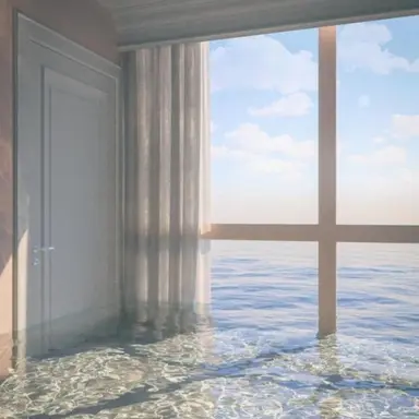 Profile image of 다른 아이들