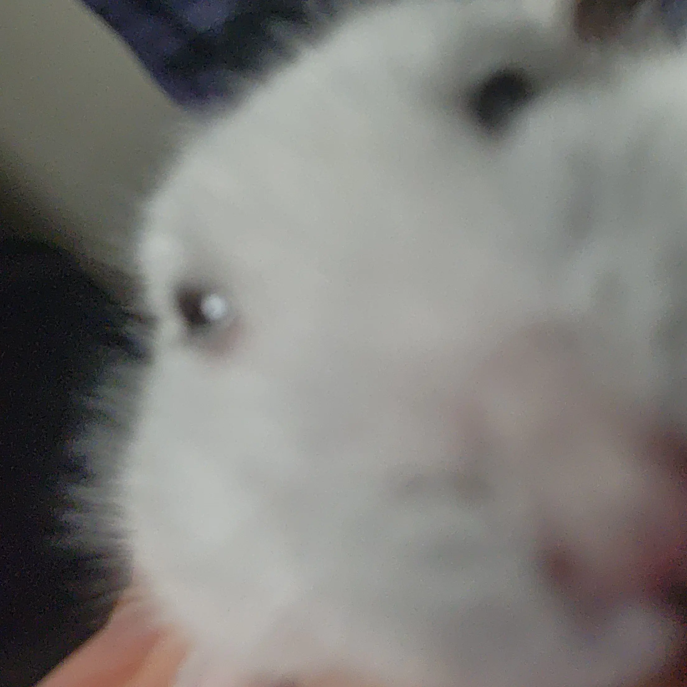 HandyChef3518의 약한영웅 class 1