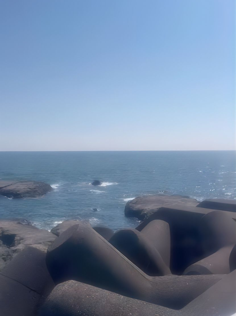 🐋‪ 𓈒𓏸 대표 이미지