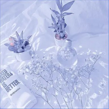 Profile image of 파이브