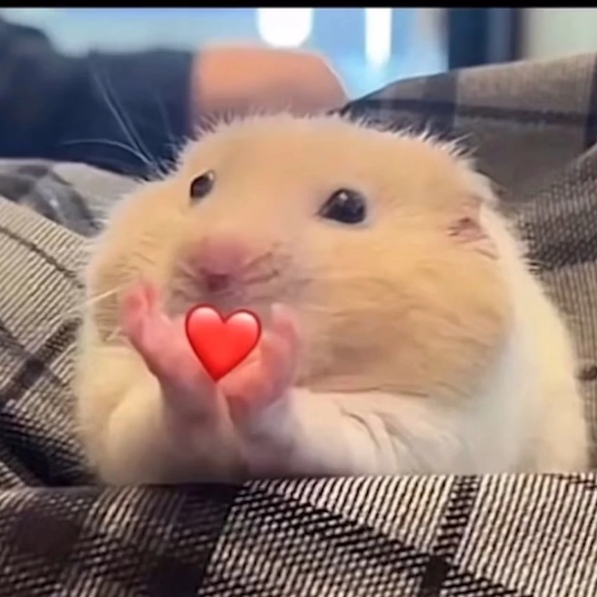 ㅊㅅㅂ