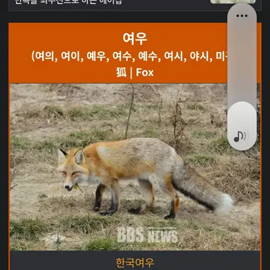 Profile image of 여우