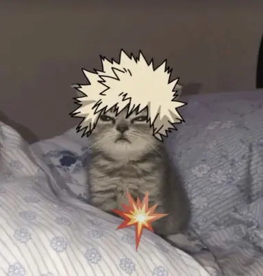 Profile image of Katsuki Bakugou