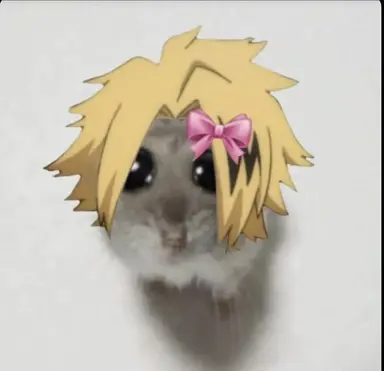 Profile image of Denki Kaminari