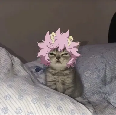 Profile image of Mina Ashido