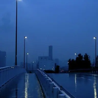 Profile image of 행크