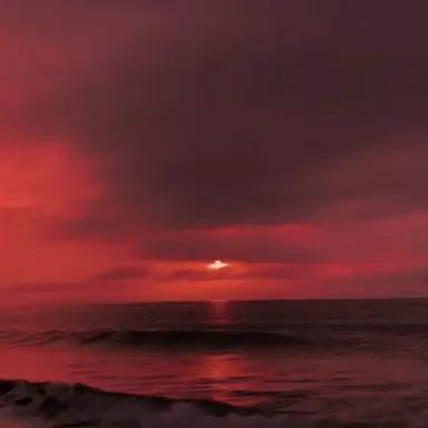 Profile image of 플래그