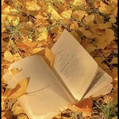 Profile image of 쪼만