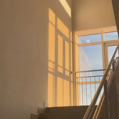 Profile image of 코마