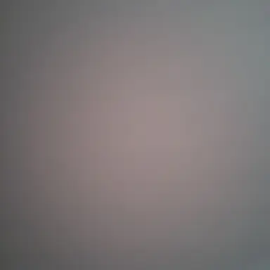 Profile image of 콜린