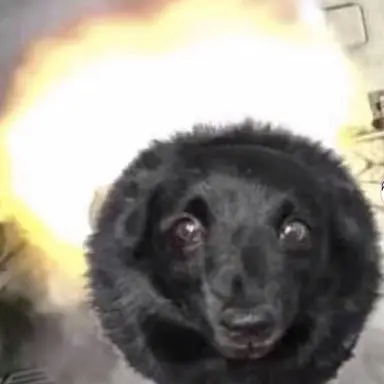 Profile image of 교도관