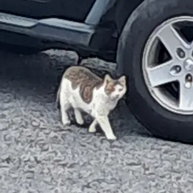 Profile image of 박하준