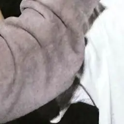 SaltyCoach0503의 잊석믽