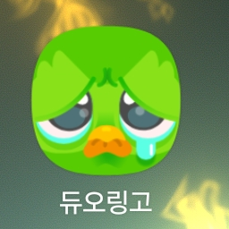 울고있는 듀오링고 대표 이미지