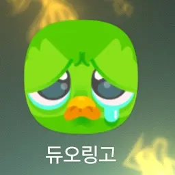 GROPTTY_123의 울고있는 듀오링고