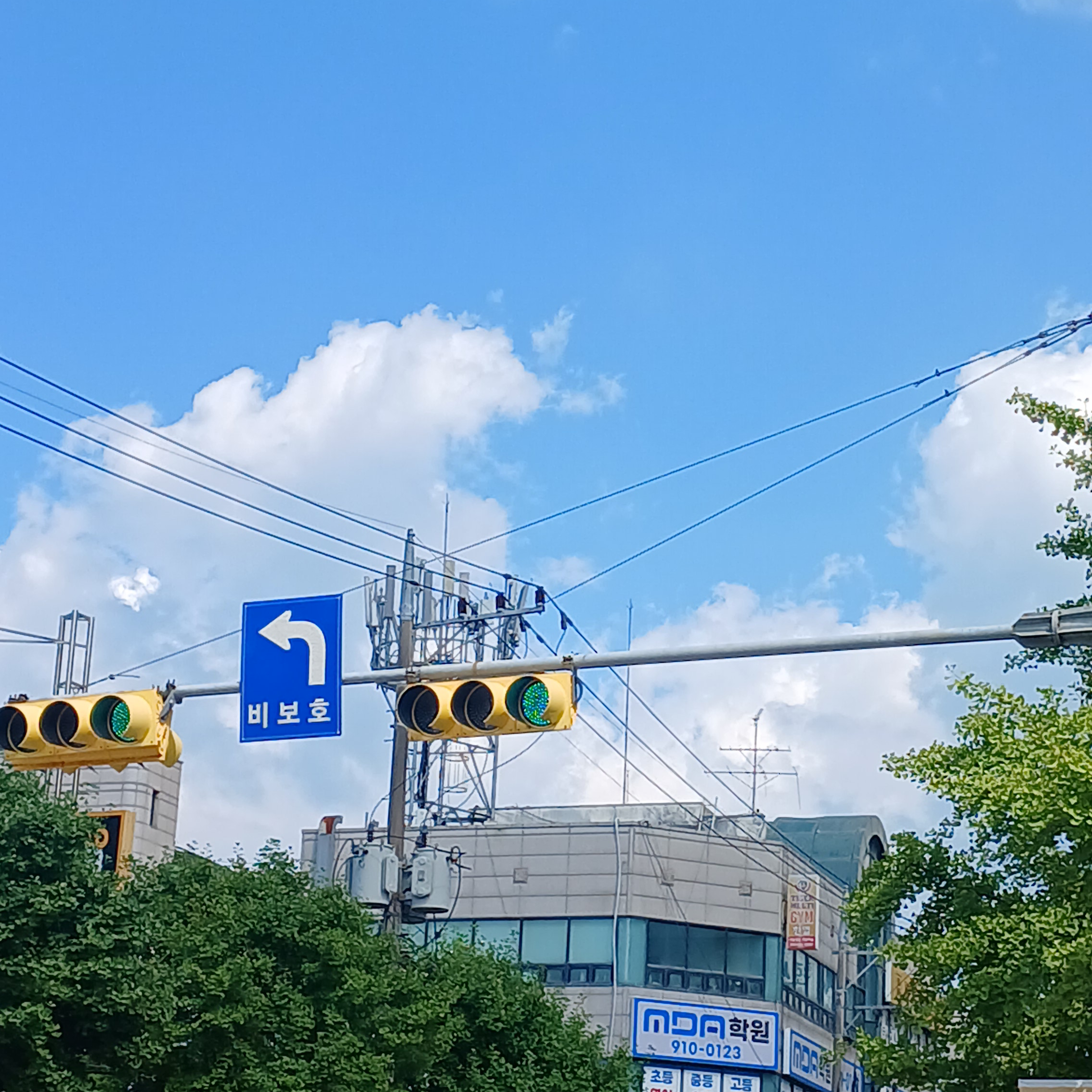 독사랑 연애 가능? 대표 이미지