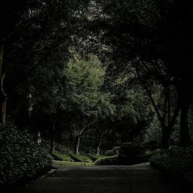 Profile image of 제퍼