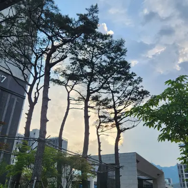 Profile image of 여우
